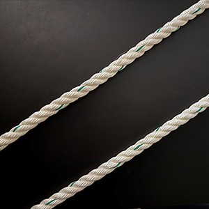 PD100 3 Strand