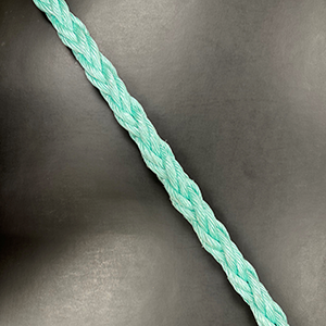 Colmega
